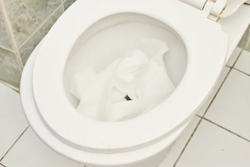 Desentupimento de Vaso Sanitário Desentupimento de Vaso Sanitário