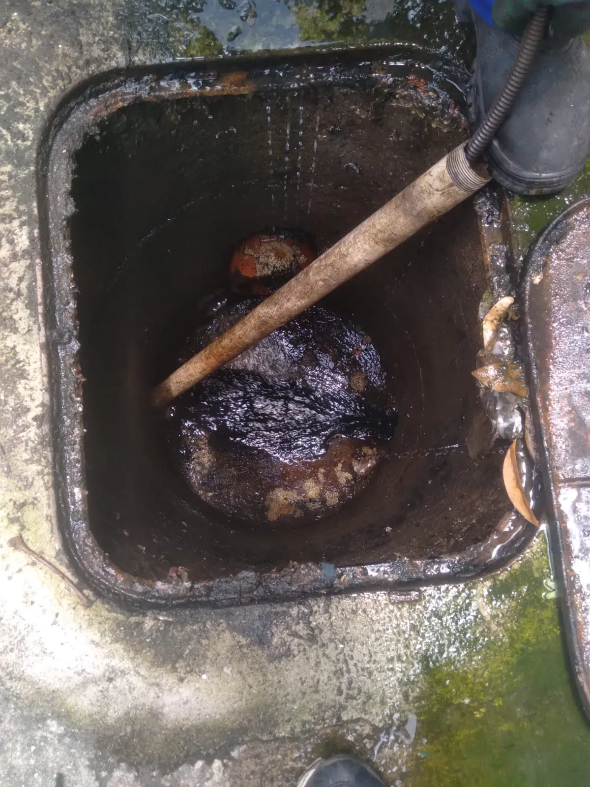 Desentupidora no Méier - Rio de janeiro // Desentupidora RJ